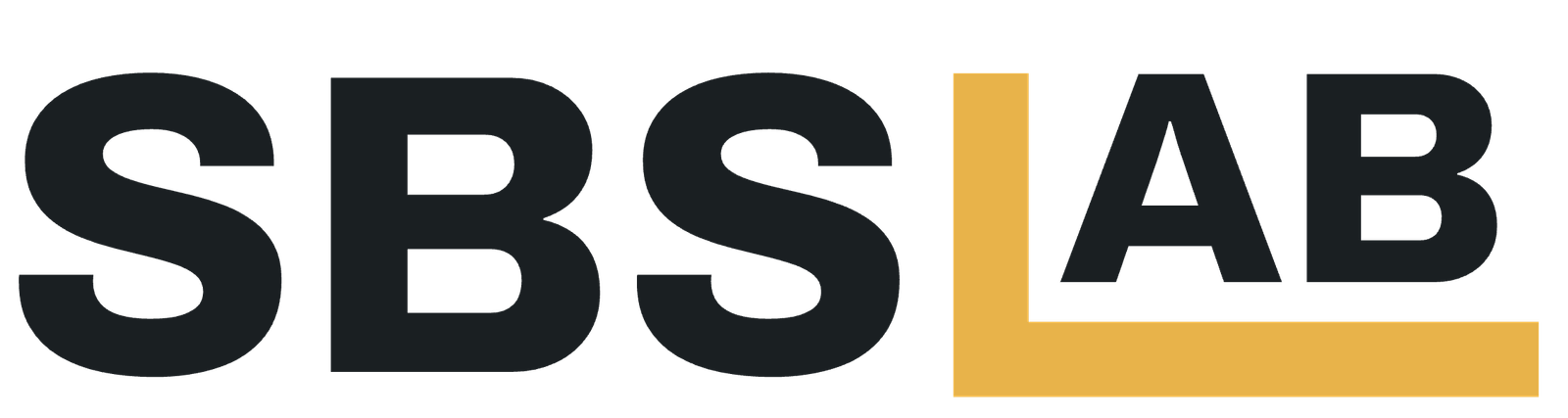 Small Biz Software Lab