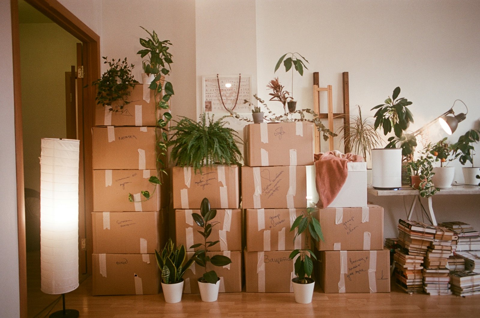 Room full of moving boxes, representing the hidden costs of switching accounting software
